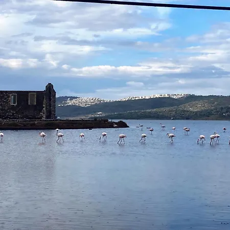 Bodrum Sea View With Access To Private Vilă Bogazici