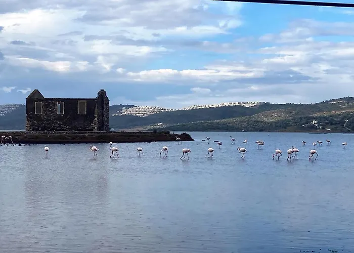 Bodrum Sea View With Access To Private Villa Bogazici